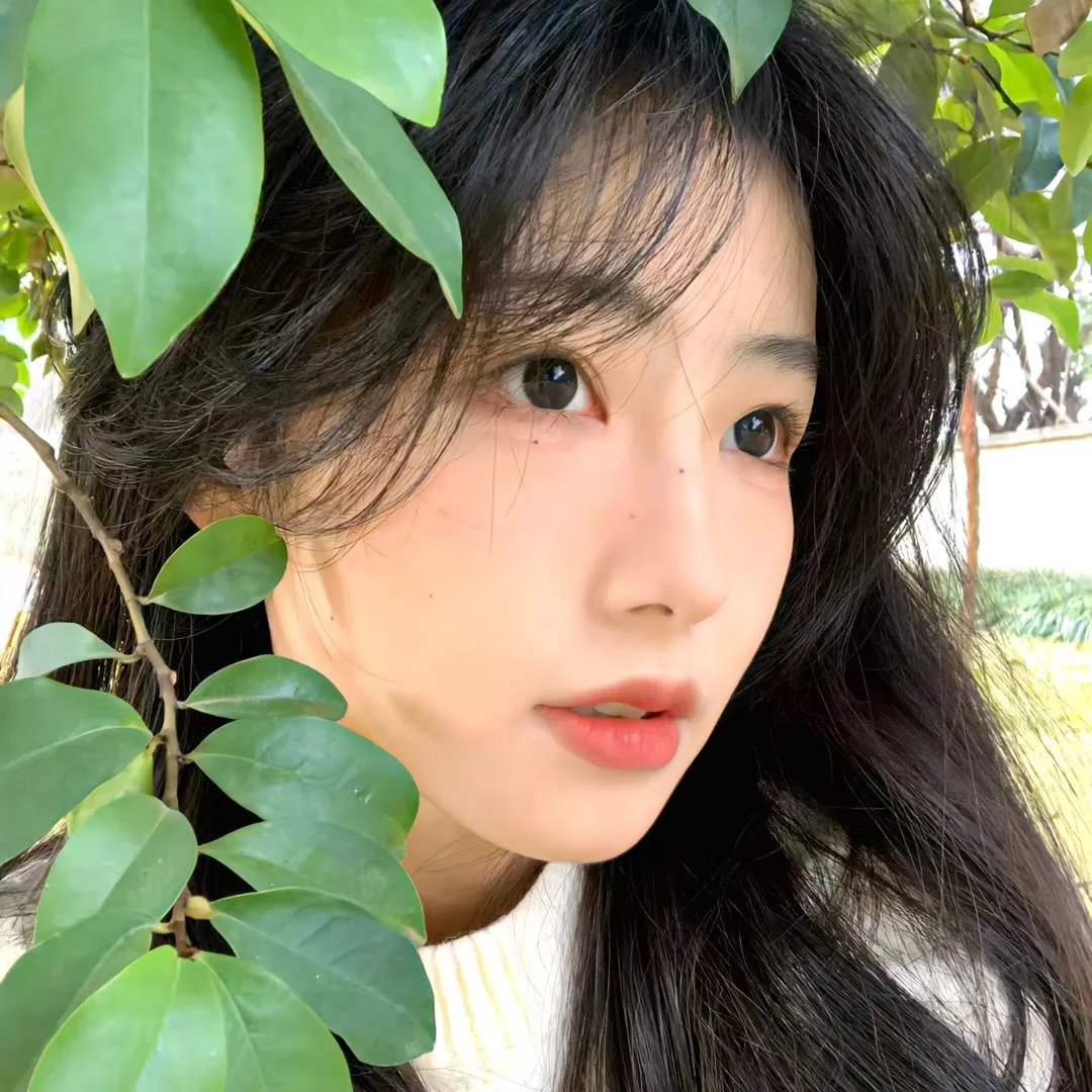 懒女苏